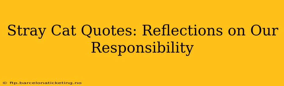 Stray Cat Quotes: Reflections on Our Responsibility