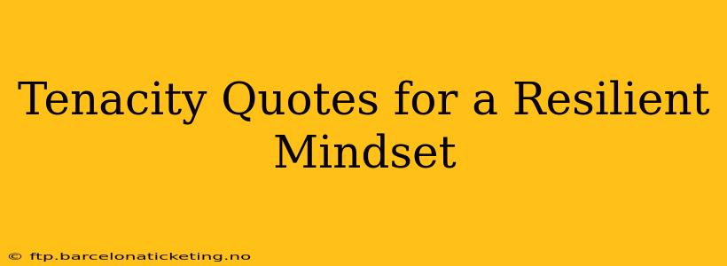 Tenacity Quotes for a Resilient Mindset