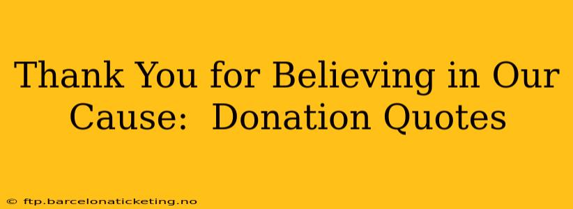 Thank You for Believing in Our Cause:  Donation Quotes