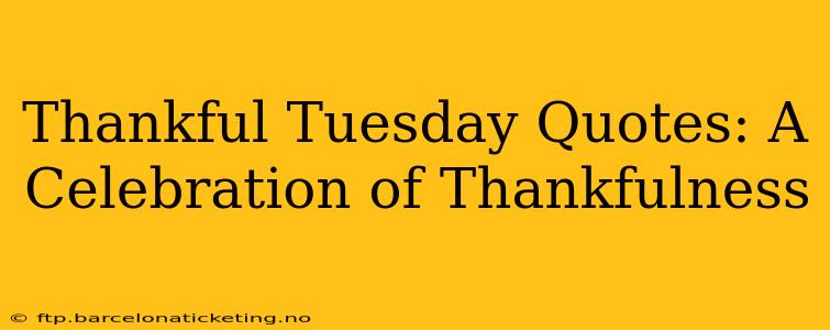 Thankful Tuesday Quotes: A Celebration of Thankfulness