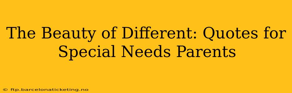 The Beauty of Different: Quotes for Special Needs Parents