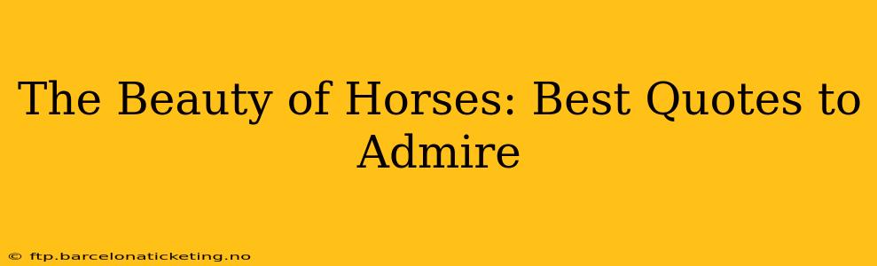 The Beauty of Horses: Best Quotes to Admire
