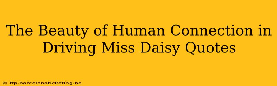 The Beauty of Human Connection in Driving Miss Daisy Quotes