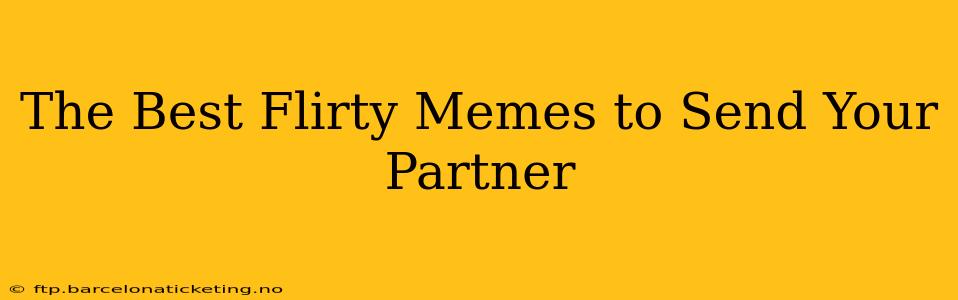 The Best Flirty Memes to Send Your Partner
