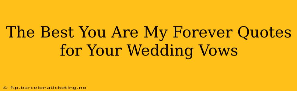 The Best You Are My Forever Quotes for Your Wedding Vows