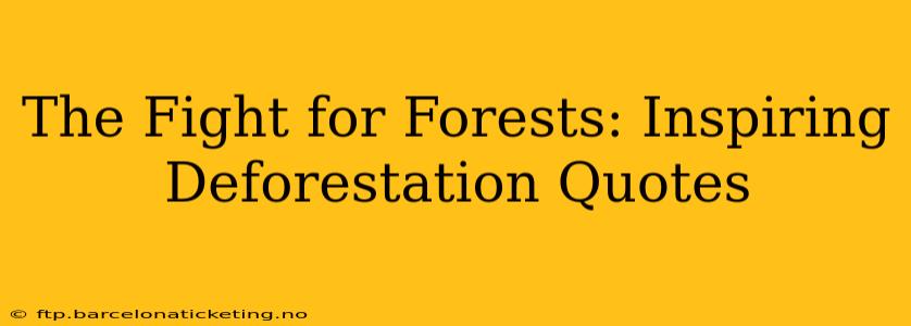 The Fight for Forests: Inspiring Deforestation Quotes