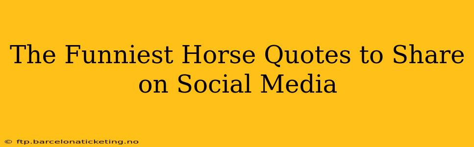 The Funniest Horse Quotes to Share on Social Media