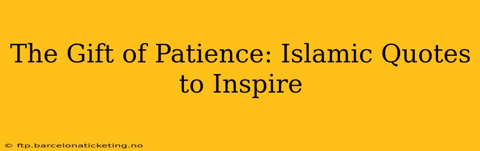 The Gift of Patience: Islamic Quotes to Inspire