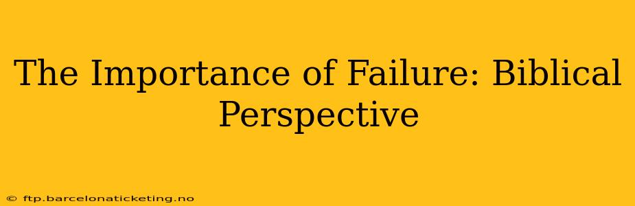 The Importance of Failure: Biblical Perspective