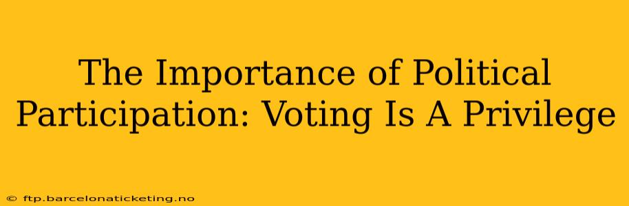 The Importance of Political Participation: Voting Is A Privilege