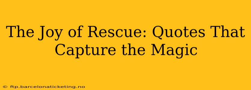 The Joy of Rescue: Quotes That Capture the Magic