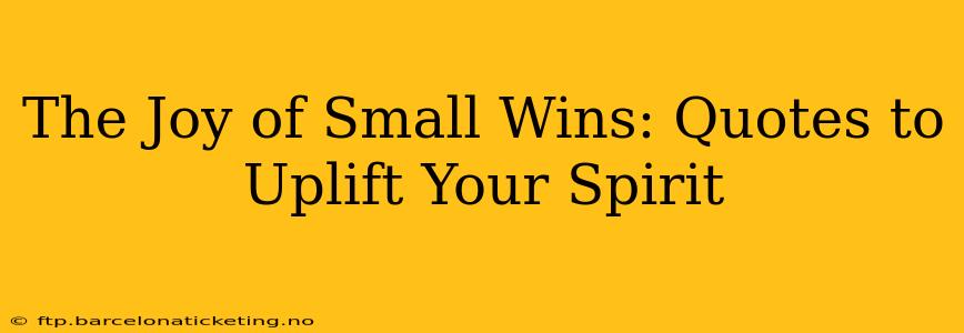 The Joy of Small Wins: Quotes to Uplift Your Spirit