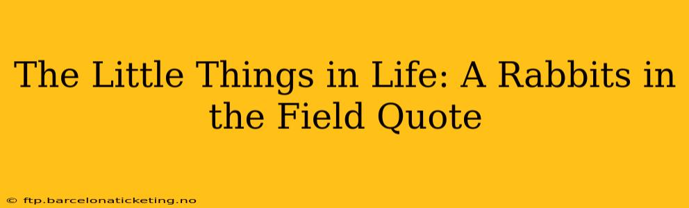 The Little Things in Life: A Rabbits in the Field Quote