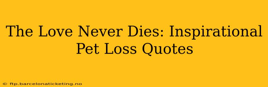 The Love Never Dies: Inspirational Pet Loss Quotes