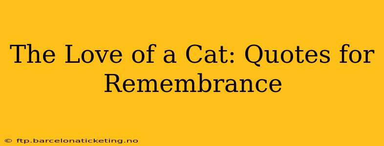 The Love of a Cat: Quotes for Remembrance