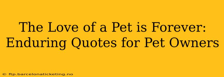 The Love of a Pet is Forever: Enduring Quotes for Pet Owners