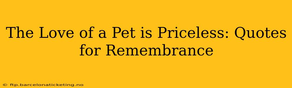 The Love of a Pet is Priceless: Quotes for Remembrance