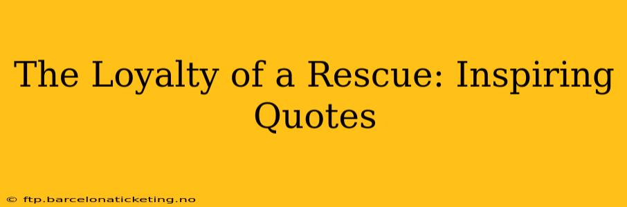 The Loyalty of a Rescue: Inspiring Quotes