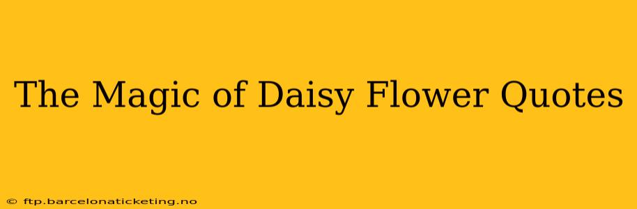 The Magic of Daisy Flower Quotes