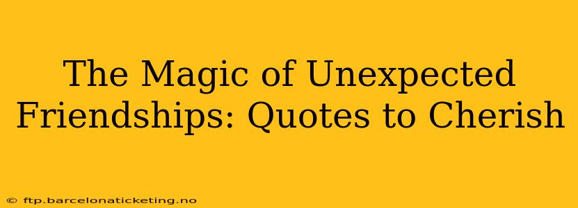 The Magic of Unexpected Friendships: Quotes to Cherish