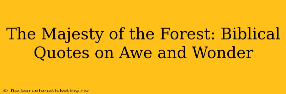 The Majesty of the Forest: Biblical Quotes on Awe and Wonder
