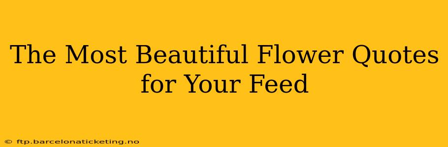 The Most Beautiful Flower Quotes for Your Feed