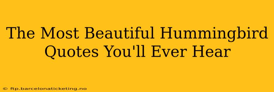 The Most Beautiful Hummingbird Quotes You'll Ever Hear