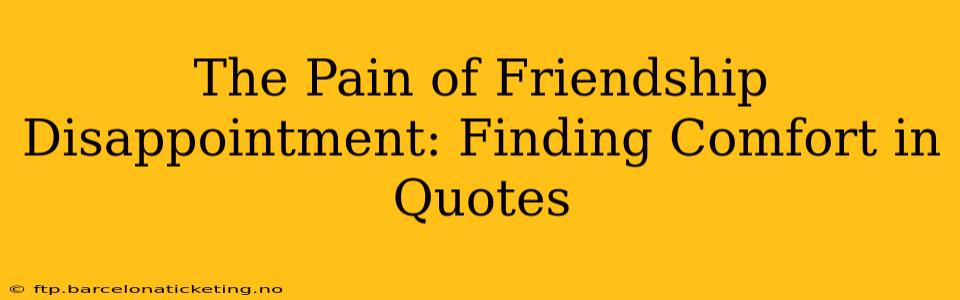 The Pain of Friendship Disappointment: Finding Comfort in Quotes