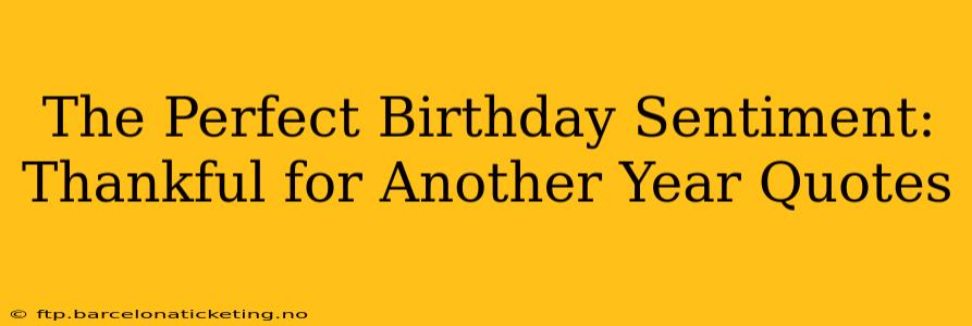 The Perfect Birthday Sentiment: Thankful for Another Year Quotes