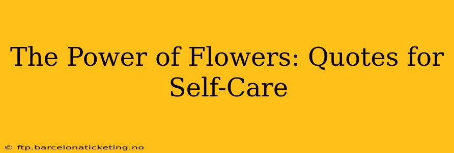 The Power of Flowers: Quotes for Self-Care