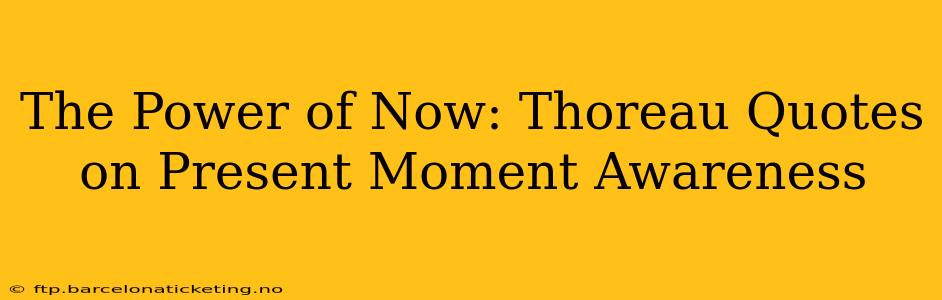 The Power of Now: Thoreau Quotes on Present Moment Awareness