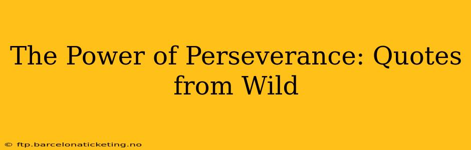 The Power of Perseverance: Quotes from Wild