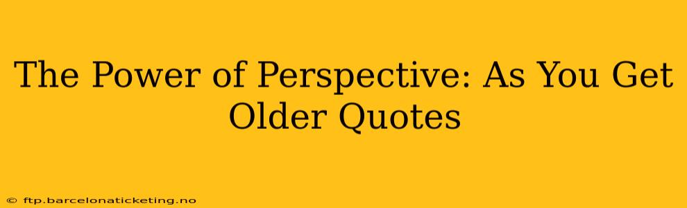 The Power of Perspective: As You Get Older Quotes