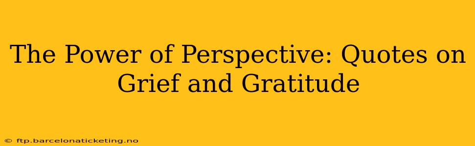 The Power of Perspective: Quotes on Grief and Gratitude