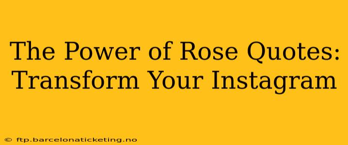 The Power of Rose Quotes: Transform Your Instagram