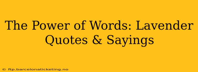 The Power of Words: Lavender Quotes & Sayings