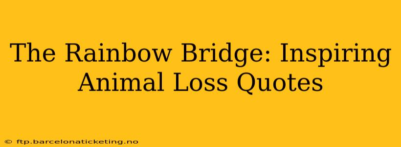 The Rainbow Bridge: Inspiring Animal Loss Quotes