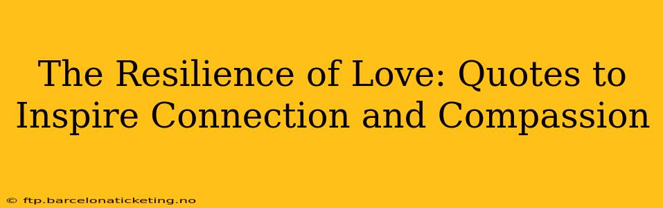 The Resilience of Love: Quotes to Inspire Connection and Compassion