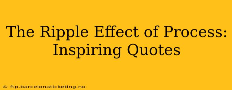 The Ripple Effect of Process: Inspiring Quotes