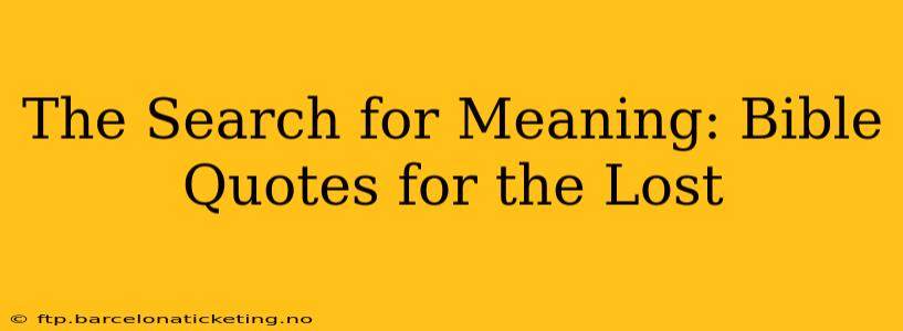 The Search for Meaning: Bible Quotes for the Lost