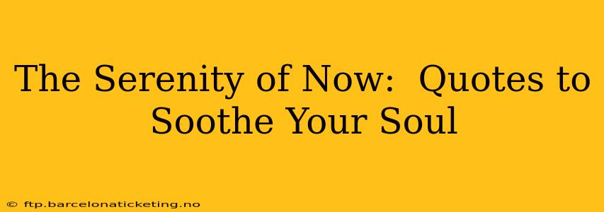 The Serenity of Now:  Quotes to Soothe Your Soul