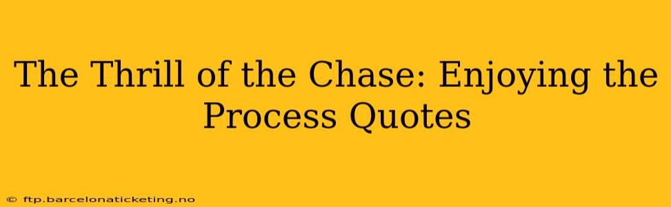 The Thrill of the Chase: Enjoying the Process Quotes