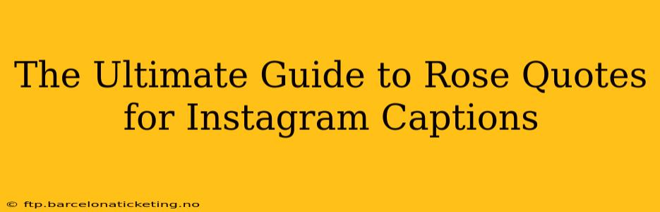 The Ultimate Guide to Rose Quotes for Instagram Captions