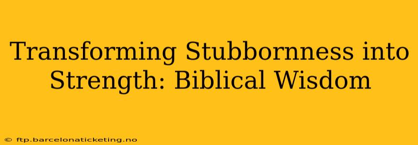 Transforming Stubbornness into Strength: Biblical Wisdom