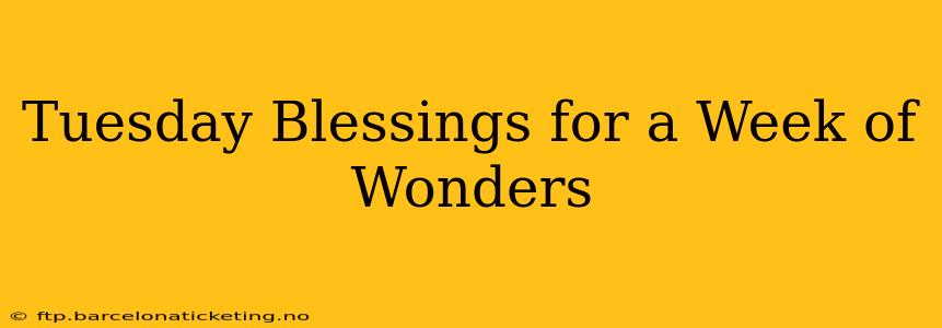 Tuesday Blessings for a Week of Wonders