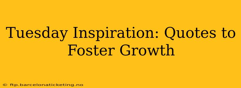 Tuesday Inspiration: Quotes to Foster Growth