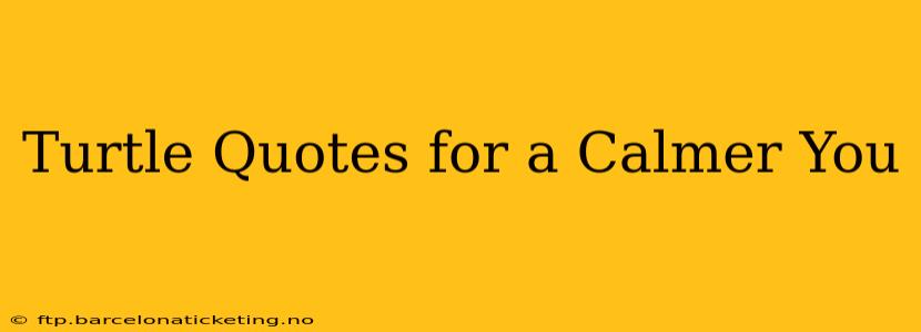Turtle Quotes for a Calmer You