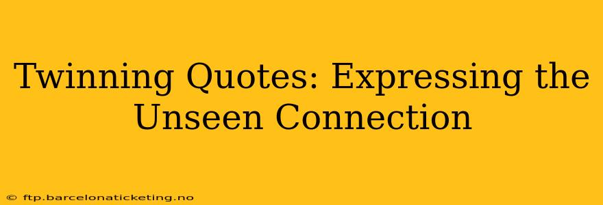 Twinning Quotes: Expressing the Unseen Connection