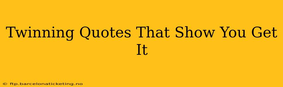 Twinning Quotes That Show You Get It