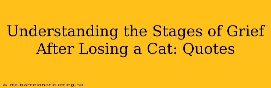 Understanding the Stages of Grief After Losing a Cat: Quotes